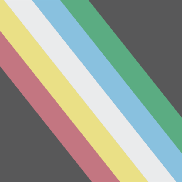 The Disability Pride Flag includes a series of rainbow stripes diagonally across a black background.
